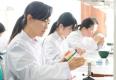 日本歯科学院専門学校