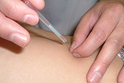 明治鍼灸柔整予備校-併設：国試対策室